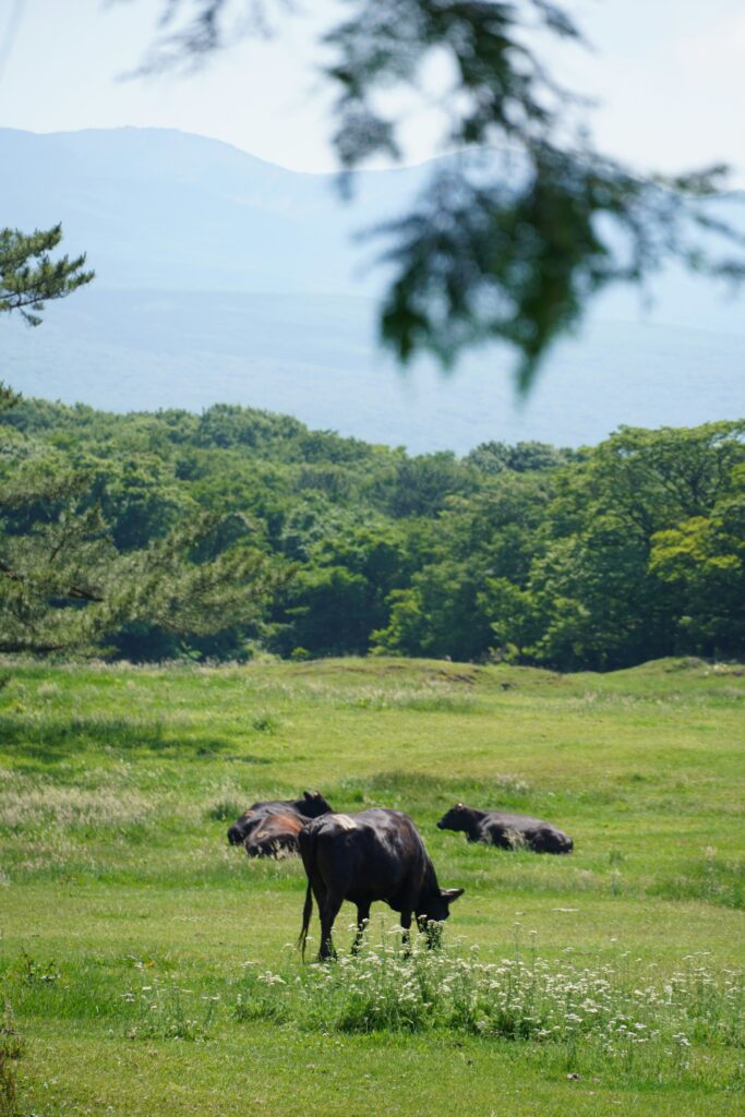 용왕산 일대 야생동물 서식지 보전 사업 본격화