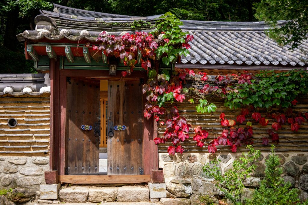 용궁포 문화재 보존과 개발의 조화 모색